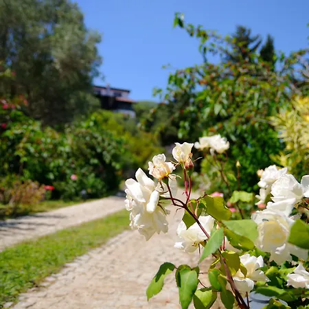 Olive Farm Of (adults Only) 2* Datca