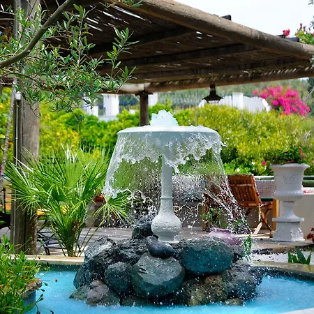 Hotel Olive Farm Of (adults Only) 2*