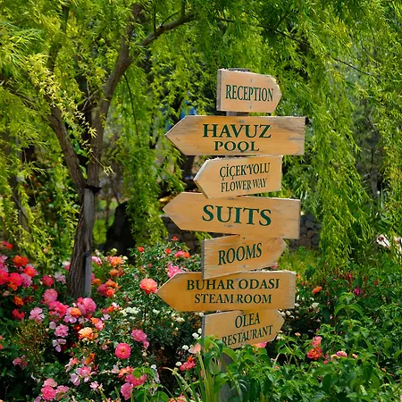 Olive Farm Of (adults Only) Hotel 2*