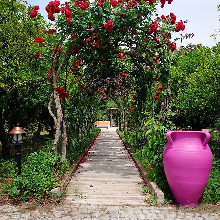 Olive Farm Of (adults Only) Hotel Datca