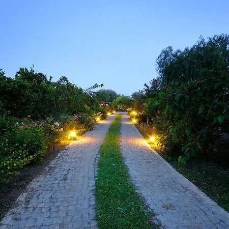 Olive Farm Of (adults Only)