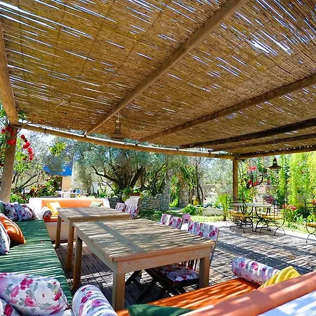 Hotel Olive Farm Of (adults Only) 2*