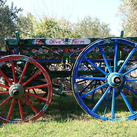 Olive Farm Of (adults Only) Hotel 2*