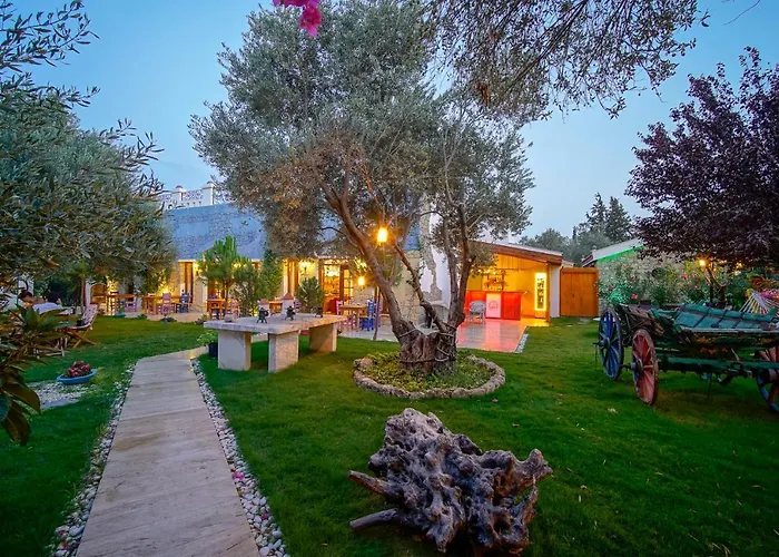 Olive Farm Of (adults Only) Hotel