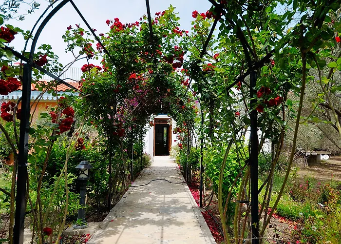 Hotel Olive Farm Of (adults Only) 2*