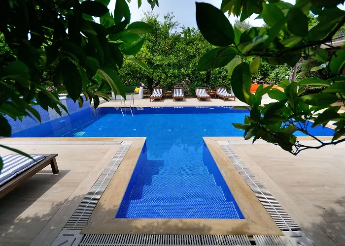 Olive Farm Of (adults Only) 2*