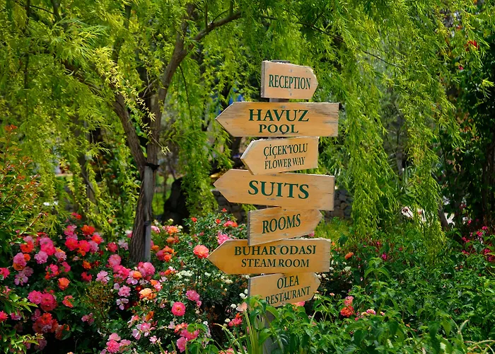 Olive Farm Of (adults Only) Hotel 2*