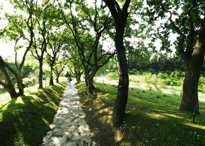 Olive Farm Of (adults Only)