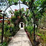 Hotel Olive Farm Of (adults Only) 2*