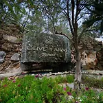 Olive Farm Of (adults Only) Datca