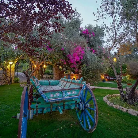 Olive Farm Of (adults Only) Hotel 2*