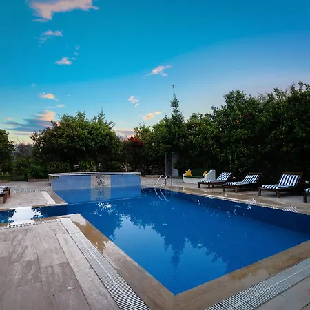 Olive Farm Of (adults Only) Hotel 2*