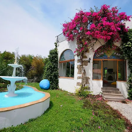 Olive Farm Of (adults Only) 2* Datca