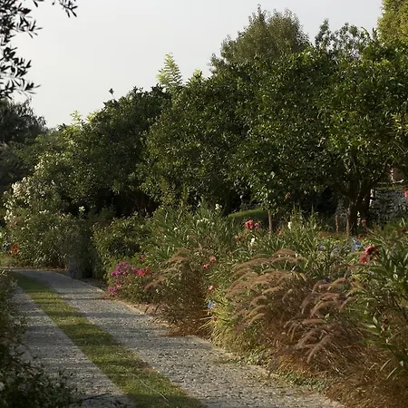 Olive Farm Of (adults Only) Hotel