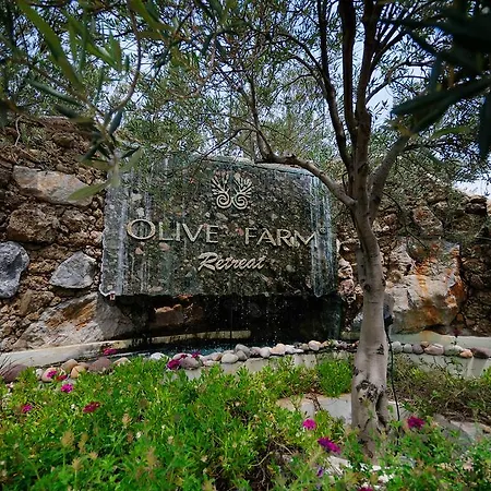 Olive Farm Of (adults Only) Datca
