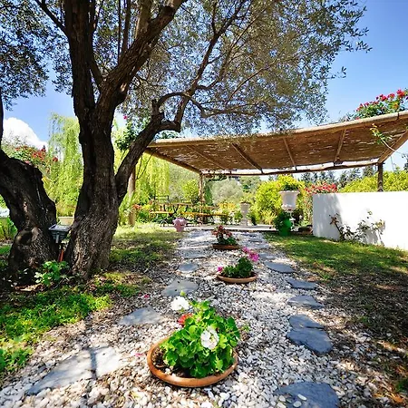 Hotel Olive Farm Of (adults Only) Datca