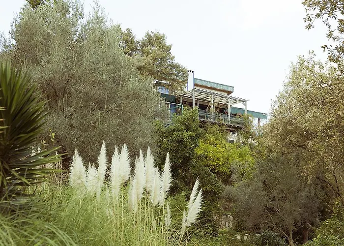 Olive Farm Of (adults Only) 2*