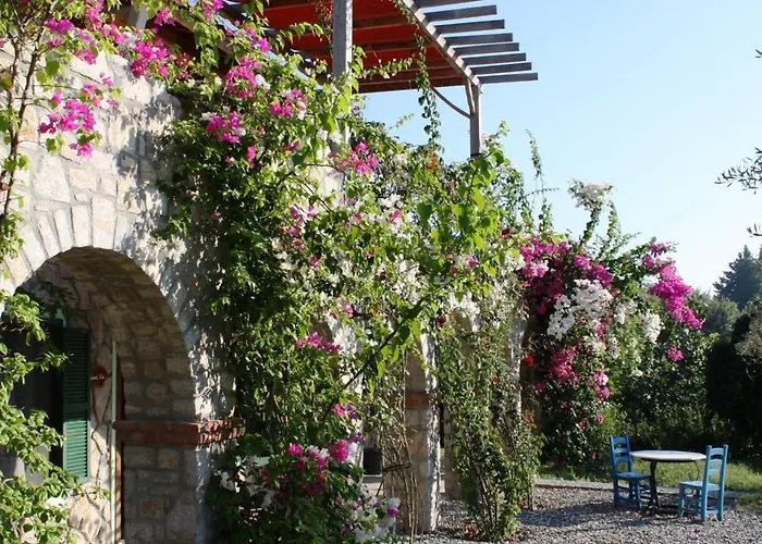 Olive Farm Of (adults Only)