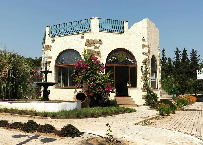 Olive Farm Of (adults Only)