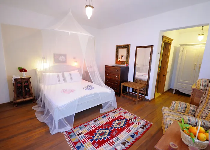 Olive Farm Of (adults Only)