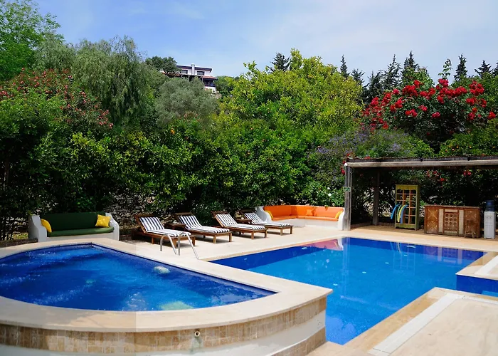 Olive Farm Of (adults Only) 2*