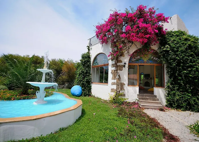 Olive Farm Of (adults Only) 2* Datça