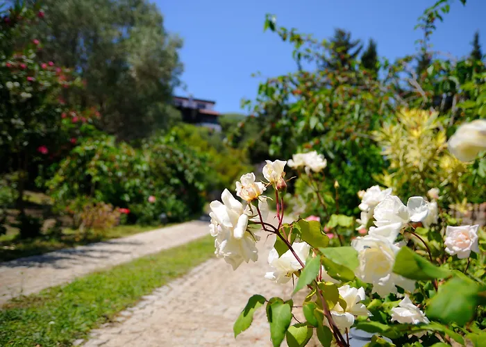 Olive Farm Of (adults Only) 2* Datca