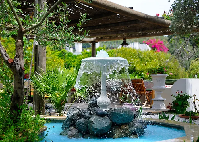 Hotel Olive Farm Of (adults Only) 2*