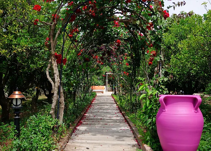 Olive Farm Of (adults Only) Hotel Datca