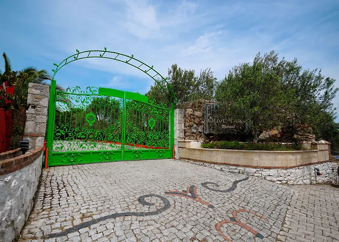 Hotel Olive Farm Of (adults Only) 2*