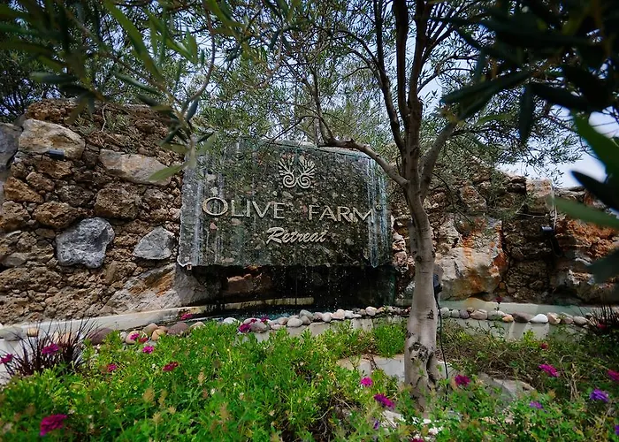 Olive Farm Of (adults Only) Datca