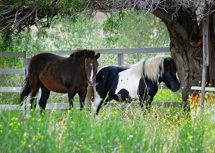 Hotel Olive Farm Of (adults Only)